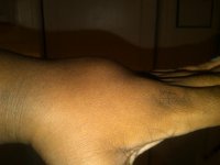 IMG00263-20110430-2053.jpg