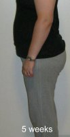 5 week bump cropped.jpg