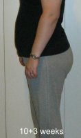 10+3 bump cropped.jpg