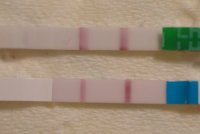 opk.jpg