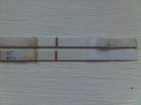 IMG00203-20110502-2005.jpg