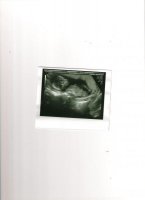 scan.jpg