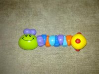 Caterpillar Rattle.jpg