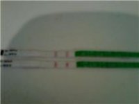 pic 2.jpg