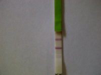 IMG-20110504-00008.jpg