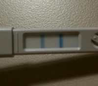 IMAG1010-1.jpg