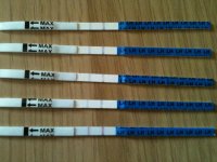 CD14-CD18 opk.jpg