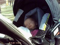PICT0135.jpg