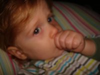 DSC03222.jpg