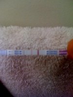 ovulate.jpg