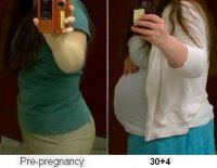 prepreg and 30+4.JPG