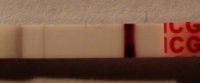 6dpo.jpg