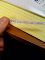 test 4.jpg