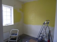 Yellow1.jpg