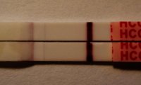 8dpo.jpg