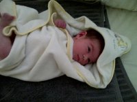Harlow-20110427-00012.jpg