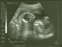scan0005.jpg