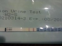 CD8icOPK2.jpg