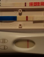 10 dpo.jpg