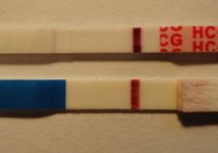 11 dpo.jpg