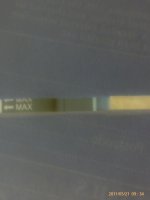 IMAG0519.jpg