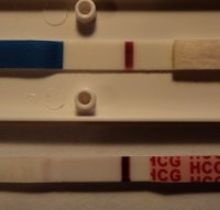 12dpo.jpg