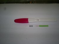 S5030631.jpg