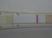 S5030637.jpg