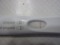 BFP23Maysm.jpg