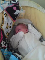 DSC00452.jpg