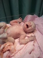 ryleighfirstpic.jpg