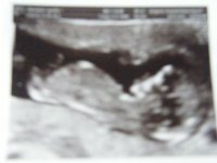 DSCF3123.jpg