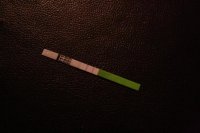 IMG_0156.jpg