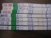 OPK.jpg