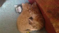 16052010002.jpg