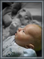 ollie2.jpg