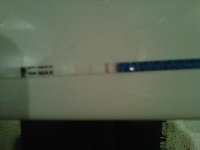 IMG00006-20110530-2218.jpg