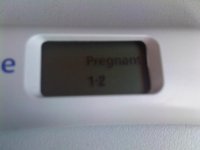 Clearblue Pregnancy Test 31-05-2011.jpg