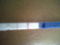 IMG00078-20110531-1744.jpg