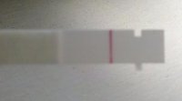 test.jpg