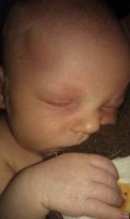 IMAG0455.jpg