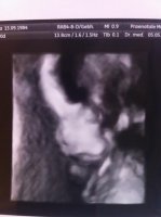 scan3d.jpg