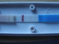 14dpo $test.jpg