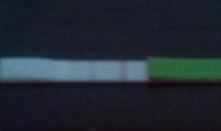 IMAG0035.jpg
