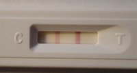 2nd pos opk.jpg