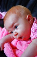 IMG_4142.jpg