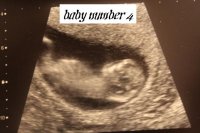 scan.jpg