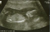 img002.jpg