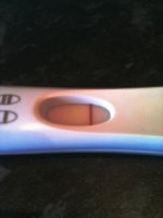 preggo.jpg