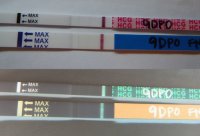 9dpo.jpg